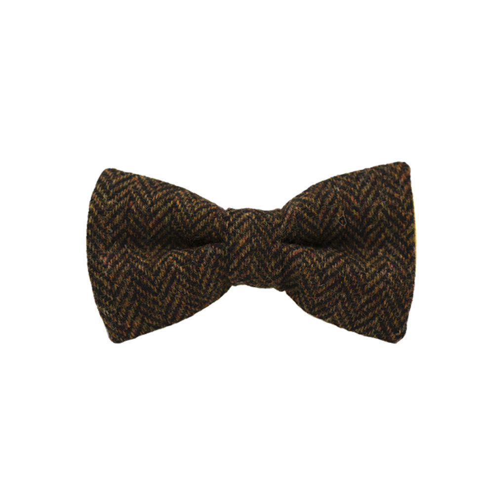 Jaggs - Bow tie Tweed "Dundee" - Chevron marron et orange