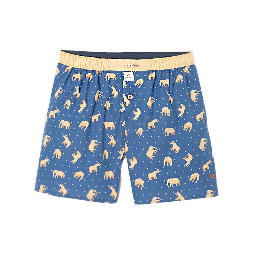 BillyBelt - Caleçon en coton bio - Elephant Dream - Taille 2XL