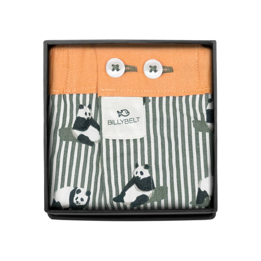 BillyBelt - Organic cotton boxer shorts - Sichuan - Size L