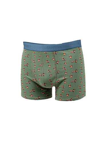 Billybelt - Boxer - Teckel - L