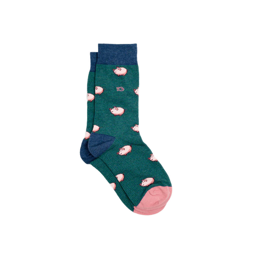 BillyBelt - Combed cotton socks Animals - Pig