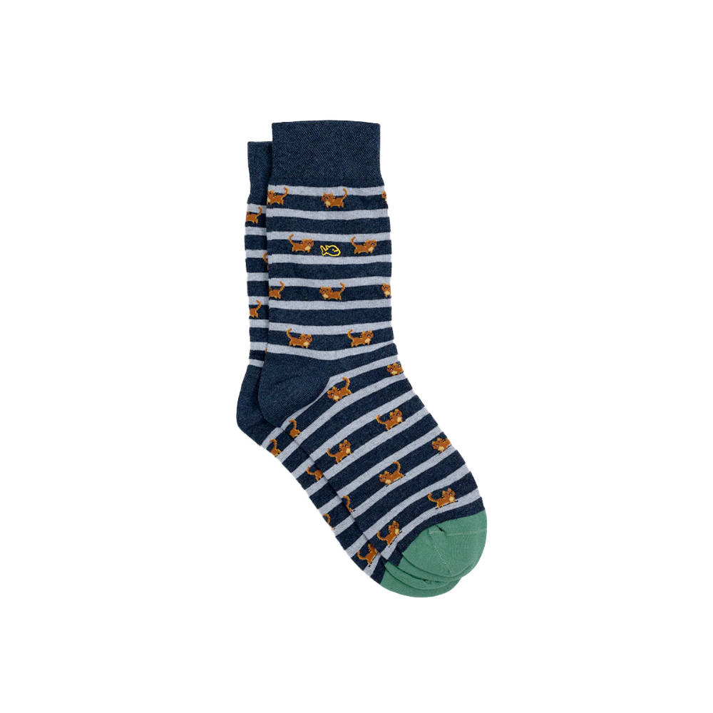 BillyBelt - Chaussettes en coton peigné Animaux - Chat