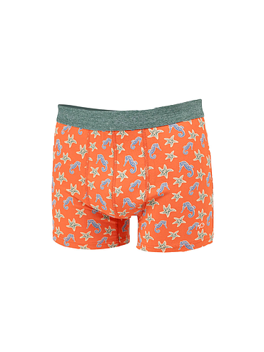Billybelt - Boxer - Seahorse - M