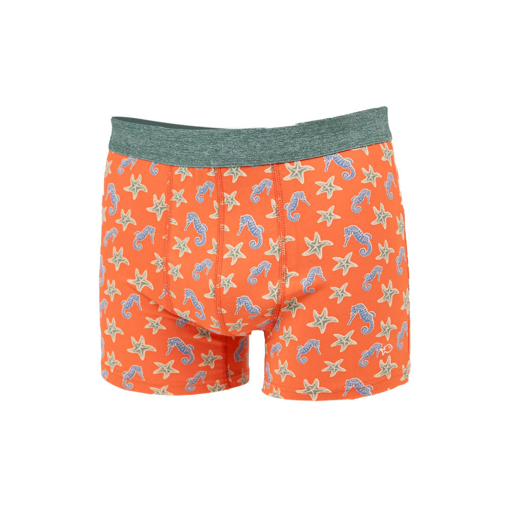 Billybelt - Boxer - Seahorse - 2XL